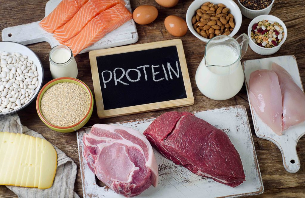 Get in shape eat protein