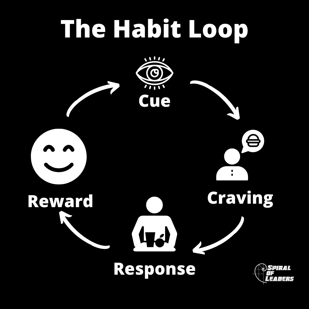 the basic habit loop